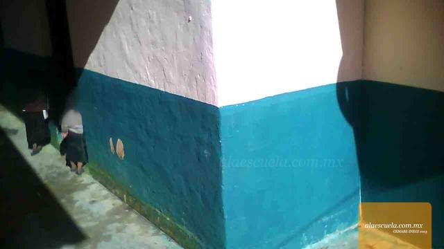 Entrada (vista previa)