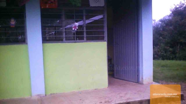 Entrada (vista previa)