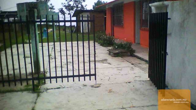 Entrada (vista previa)