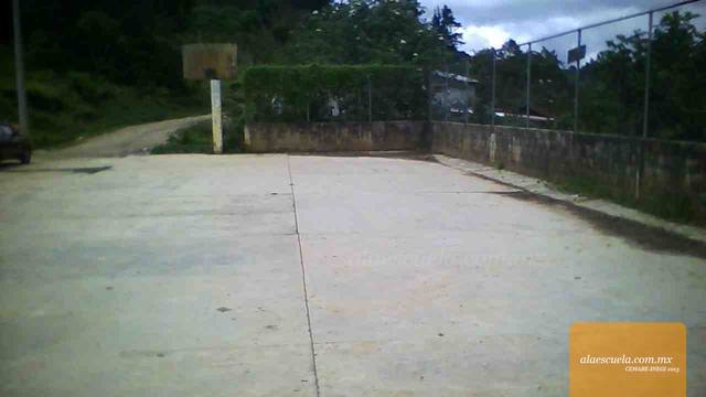 Entrada (vista previa)