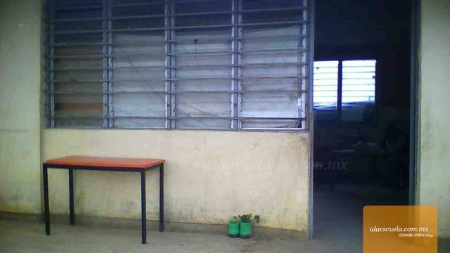 Entrada (vista previa)