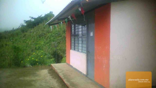 Entrada (vista previa)