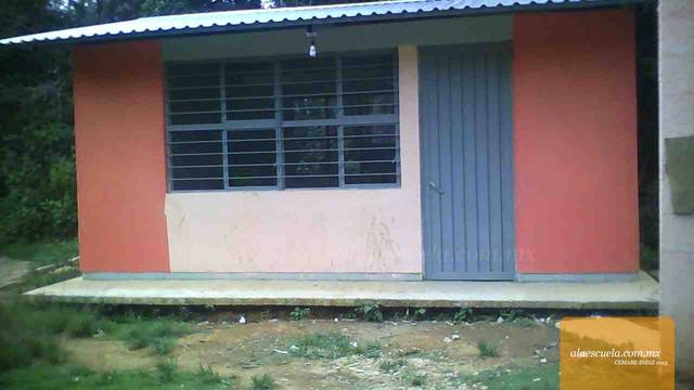 Entrada (vista previa)