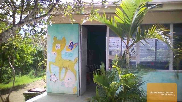 Entrada (vista previa)