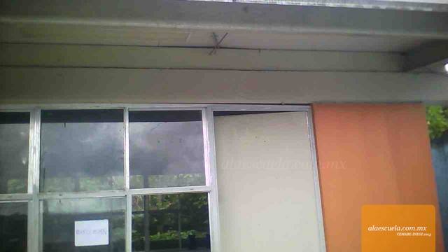 Entrada (vista previa)