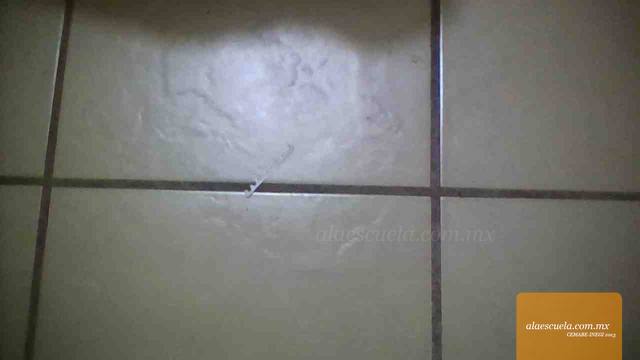 Entrada (vista previa)