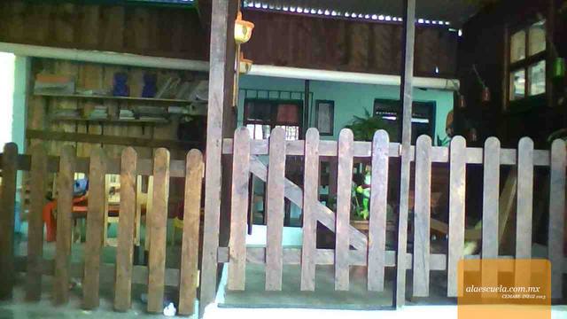 Entrada (vista previa)