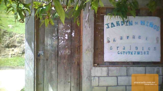 Entrada (vista previa)