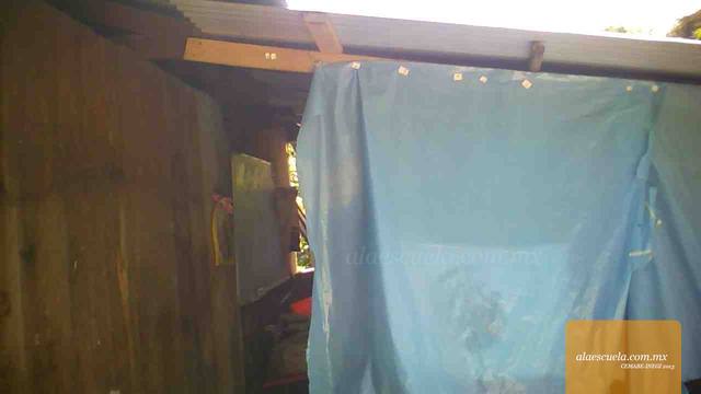 Entrada (vista previa)