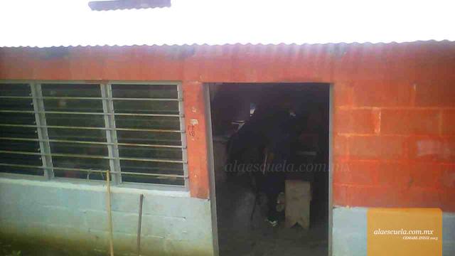 Entrada (vista previa)