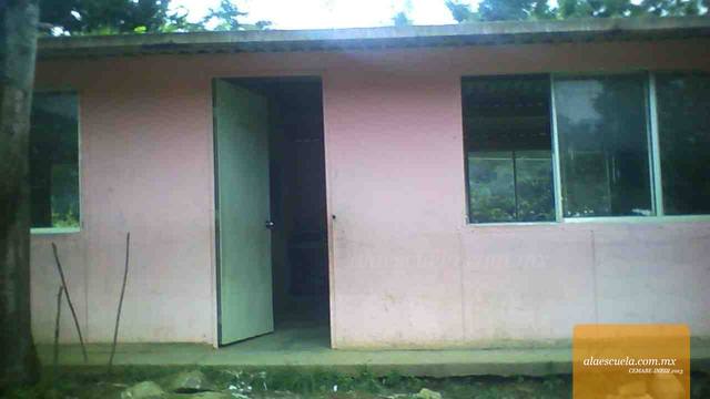 Entrada (vista previa)