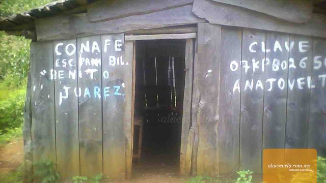 Entrada (vista previa)