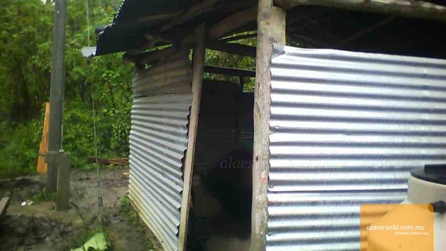 Entrada (vista previa)