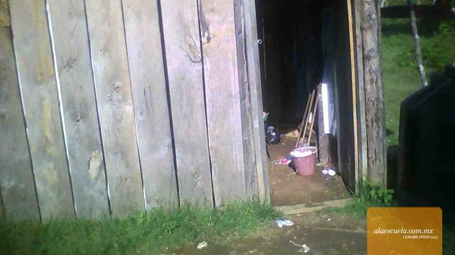 Entrada (vista previa)