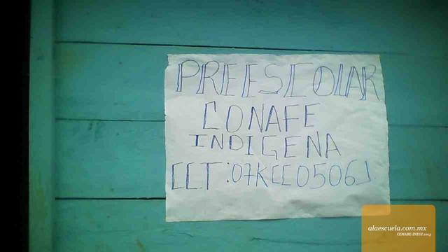 Entrada (vista previa)