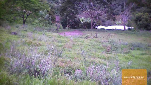 Áreas (vista previa)