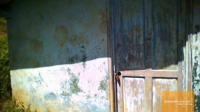 Entrada (vista previa)