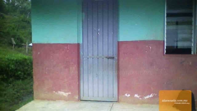 Entrada (vista previa)