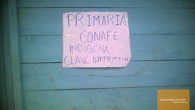 Entrada (vista previa)