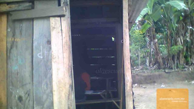 Entrada (vista previa)