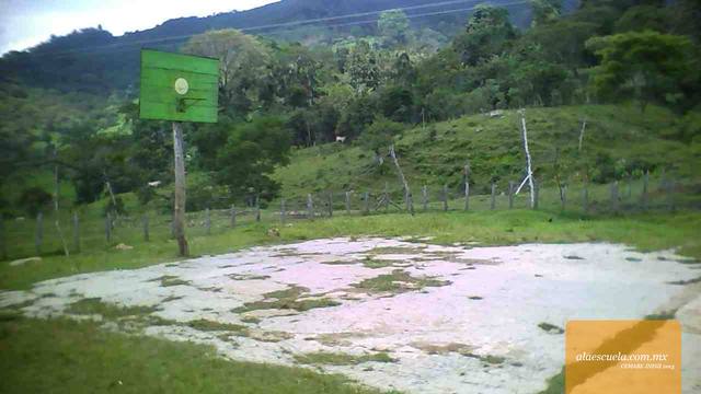 Entrada (vista previa)