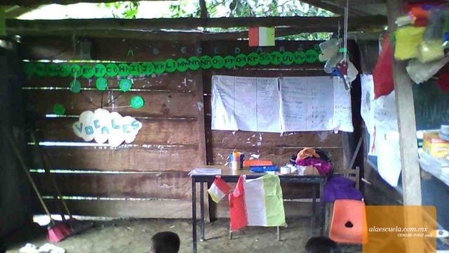 Entrada (vista previa)