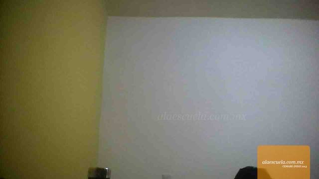 Entrada (vista previa)