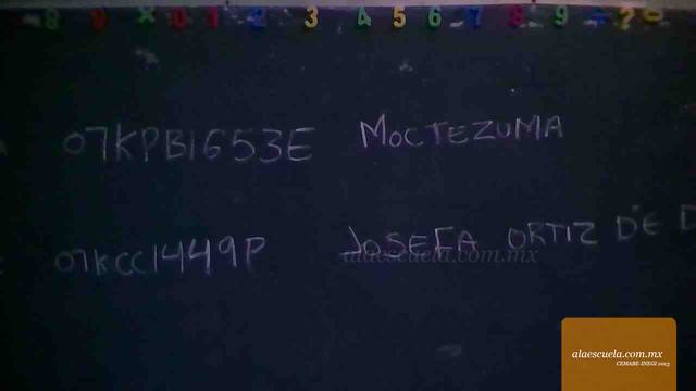 Entrada (vista previa)