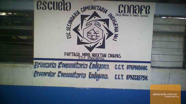 Entrada (vista previa)