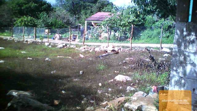 Entrada (vista previa)