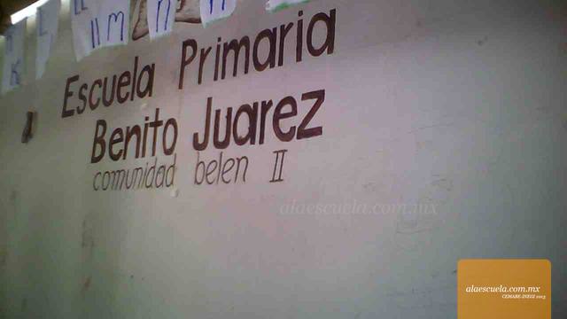 Entrada (vista previa)