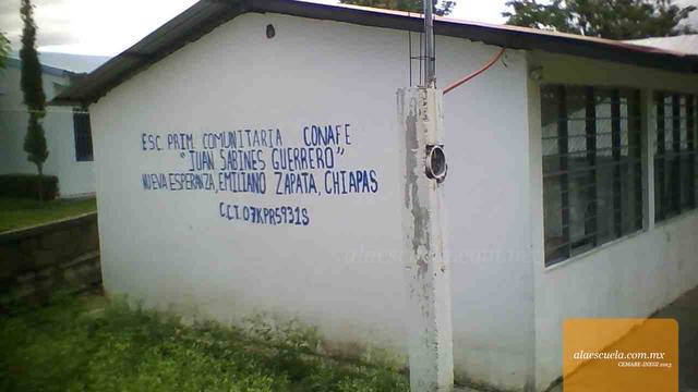 Entrada (vista previa)