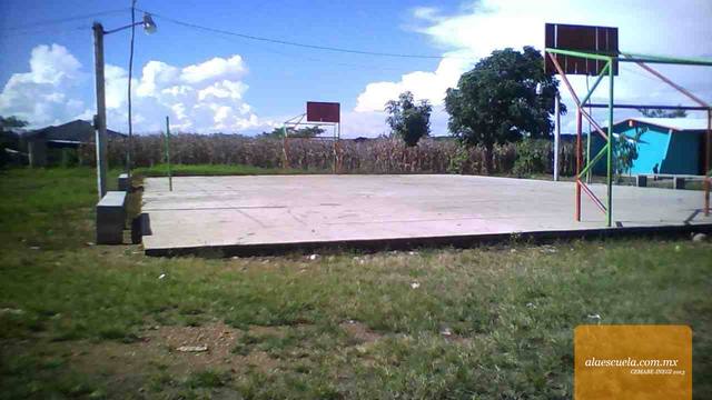 Entrada (vista previa)