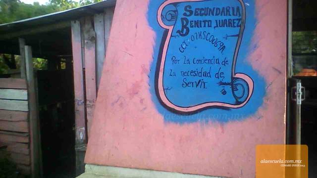 Entrada (vista previa)