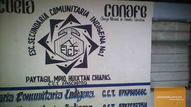 Entrada (vista previa)