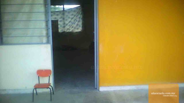 Entrada (vista previa)