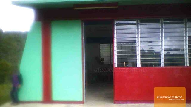 Entrada (vista previa)