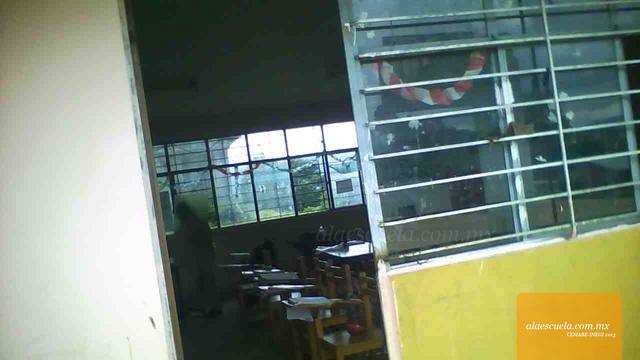 Entrada (vista previa)