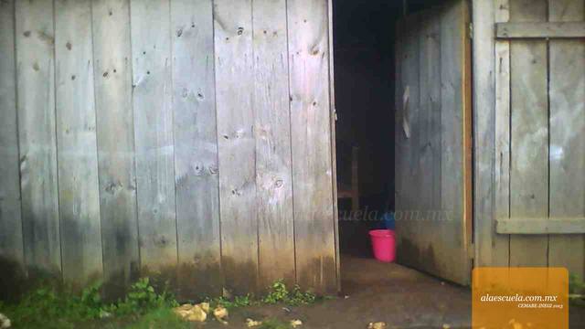 Entrada (vista previa)