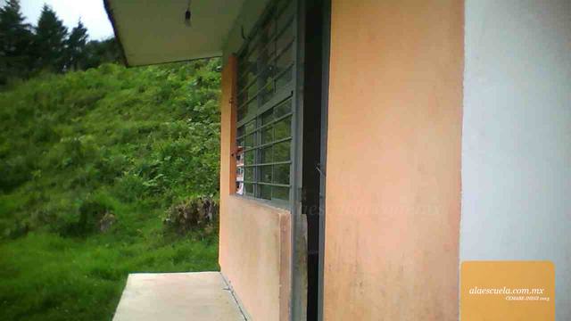 Entrada (vista previa)