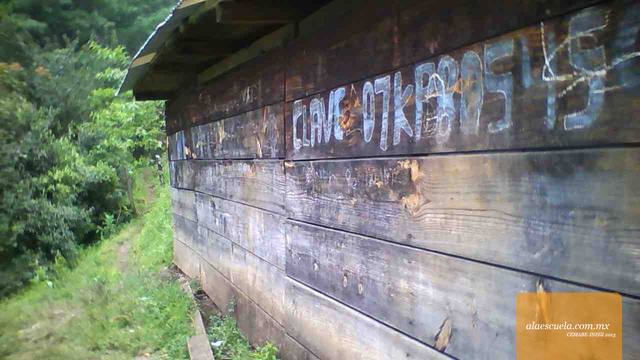 Entrada (vista previa)