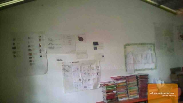 Entrada (vista previa)