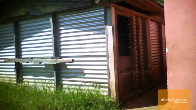 Entrada (vista previa)