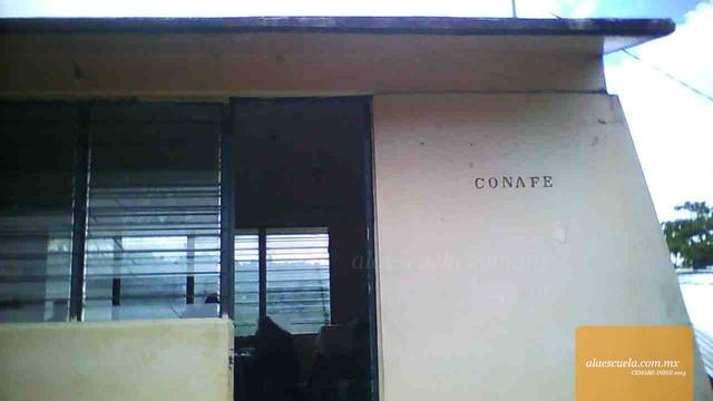 Entrada (vista previa)