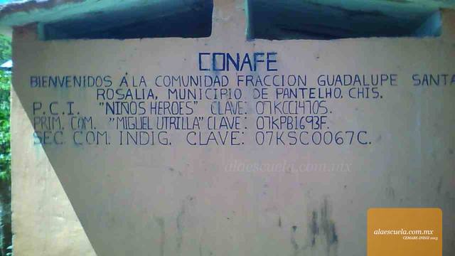 Entrada (vista previa)