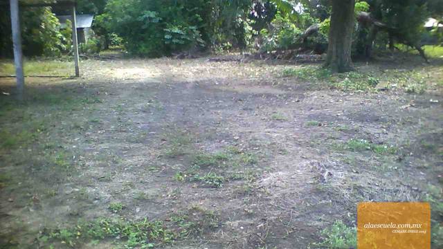 Áreas (vista previa)