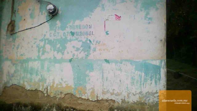 Entrada (vista previa)