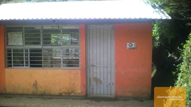 Entrada (vista previa)