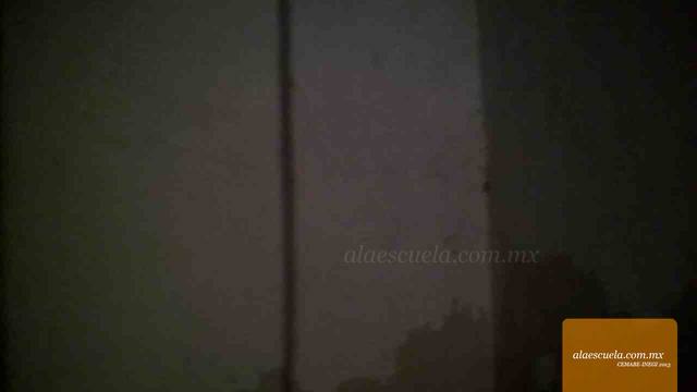 Entrada (vista previa)