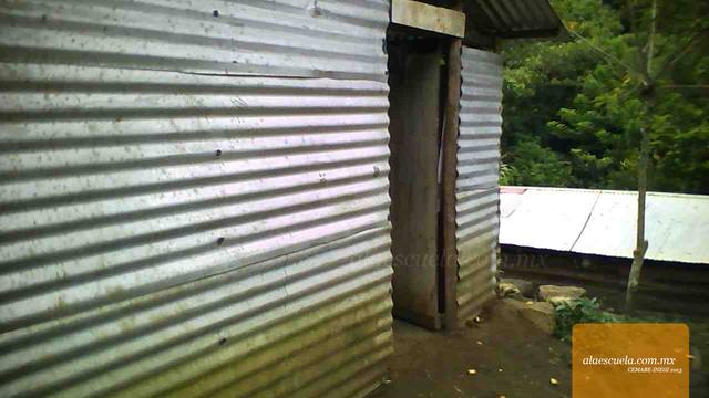 Entrada (vista previa)